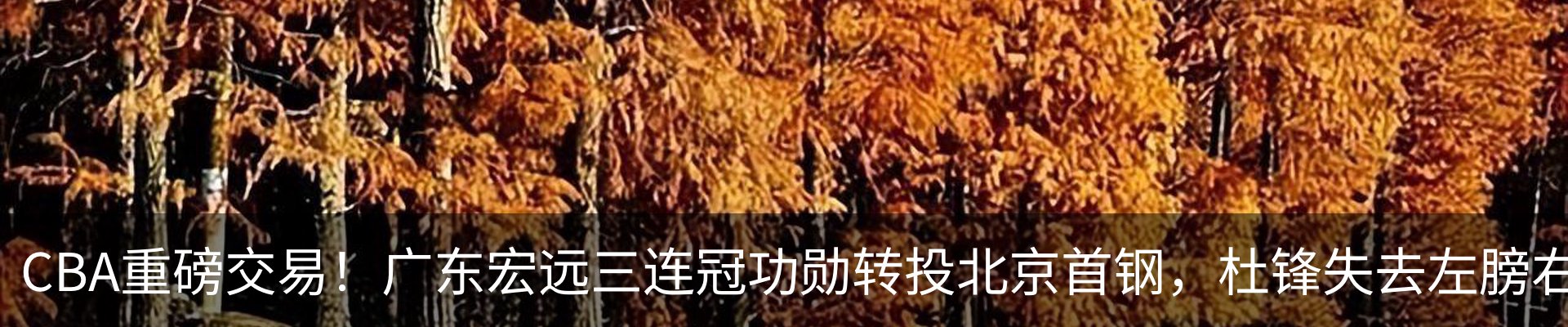 内页banner
